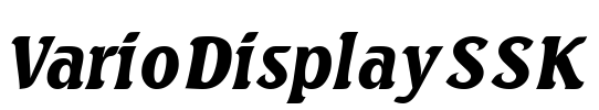 VarioDisplaySSK