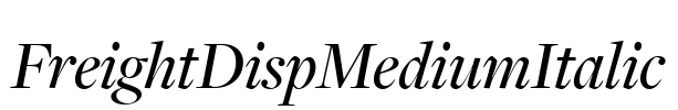 FreightDispMediumItalic