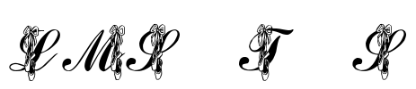LMS Toe Shoes Font Image
