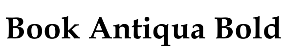 Book Antiqua Bold