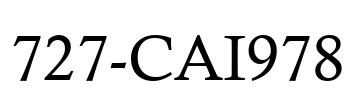 727-CAI978 Font Image