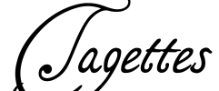 Tagettes Font Image