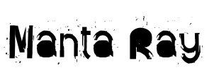 Manta Ray