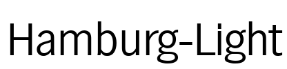 Hamburg-Light Font Image