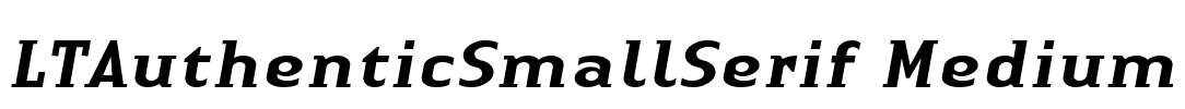 LTAuthenticSmallSerif Medium