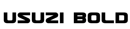 Usuzi Bold