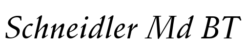 Schneidler Md BT