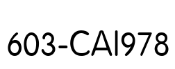 603-CAI978