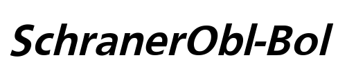 SchranerObl-Bol Font Image