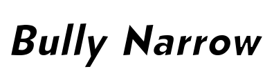 Bully Narrow
