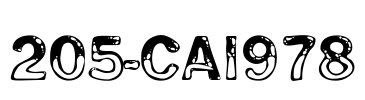 205-CAI978