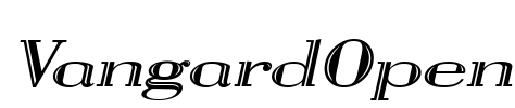 VangardOpen