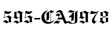 595-CAI978