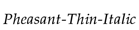 Pheasant-Thin-Italic Font Image