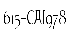 615-CAI978