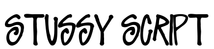 Stussy Script Font Image