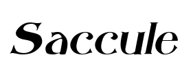 Saccule