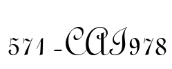 571-CAI978