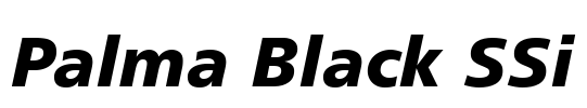 Palma Black SSi