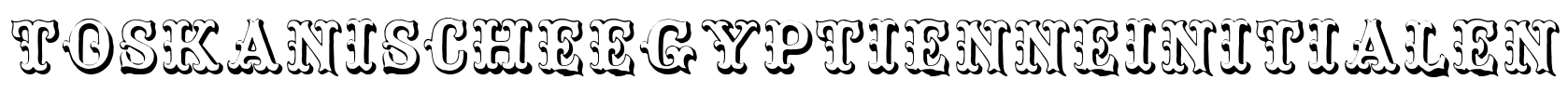 ToskanischeEgyptienneInitialen Font Image