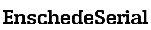 EnschedeSerial