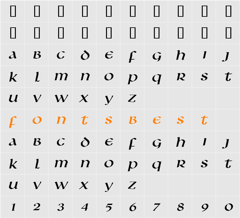 Leo Wide Character Map