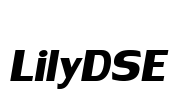 LilyDSE