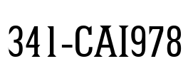 341-CAI978