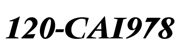 120-CAI978 Font Image