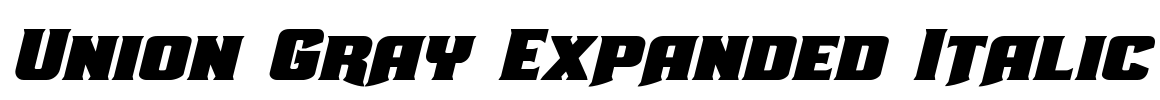 Union Gray Expanded Italic
