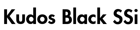 Kudos Black SSi Font Image