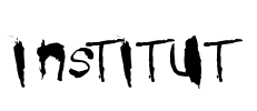 institut Font Image