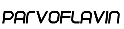 Parvoflavin Font Image