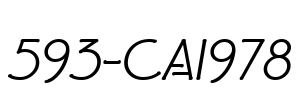 593-CAI978