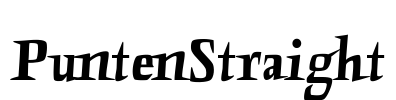 PuntenStraight Font Image