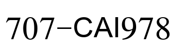 707-CAI978