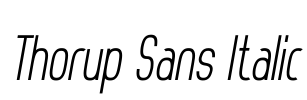 Thorup Sans Italic