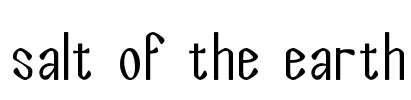 Salt of the Earth Font Image