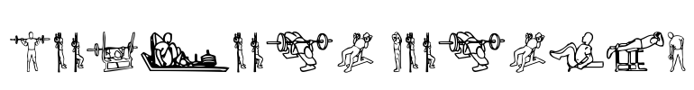 Workout Routine