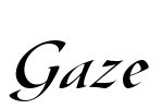 Gaze