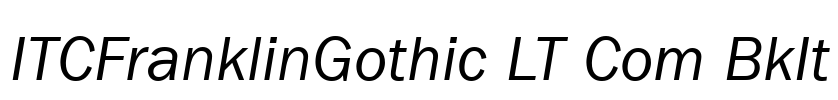 ITCFranklinGothic LT Com BkIt