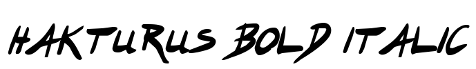 Hakturus Bold Italic Font Image