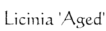 Licinia 'Aged'