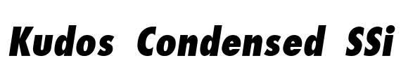 Kudos Condensed SSi Font Image