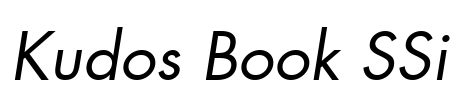 Kudos Book SSi Font Image