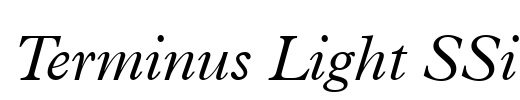 Terminus Light SSi Font Image