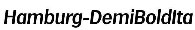 Hamburg-DemiBoldIta Font Image