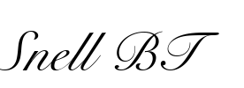 Snell BT