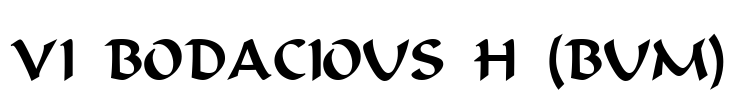 VI Bodacious H (Bum) Font Image
