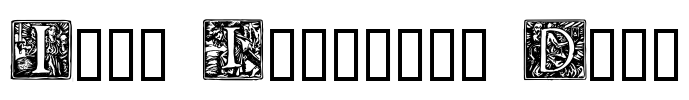 Pyle Initials Demo Font Image